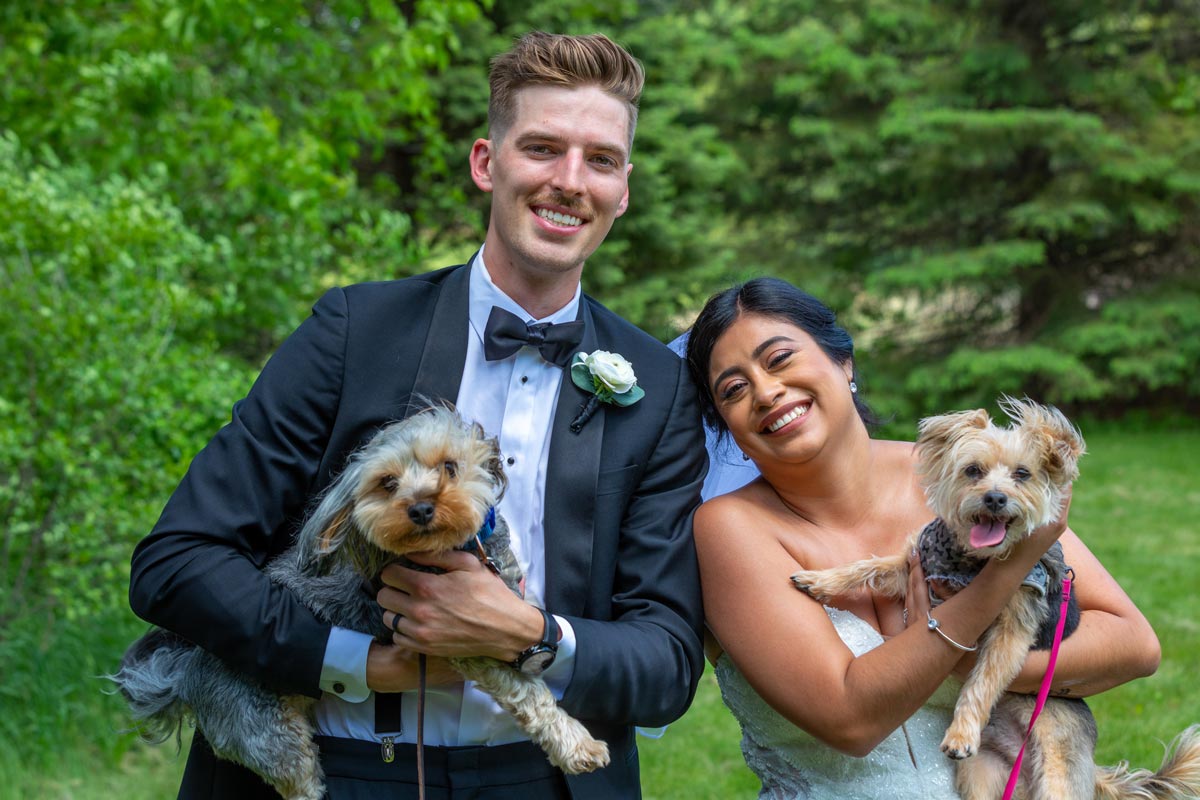 Bride and groom with their puppies